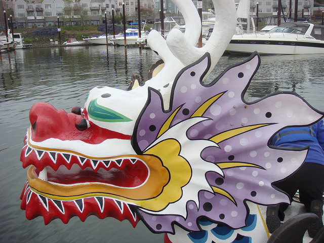 nanaimo dragon boat festival